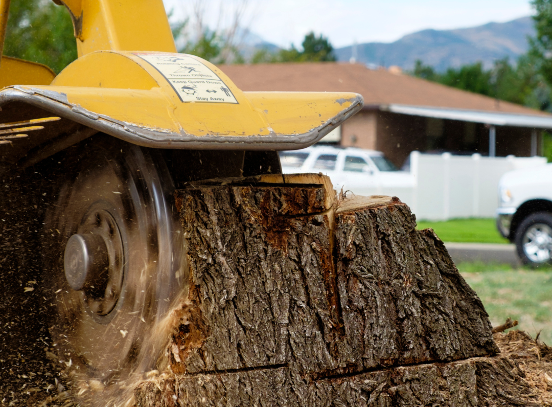 Stump Grinding PTSA